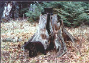 a6.jpg
